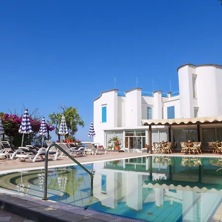 Loreley Serrara Fontana